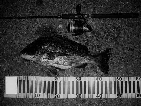 チニングにてようやく本命をGET(σ・∀・)σｹﾞｯﾂ!!